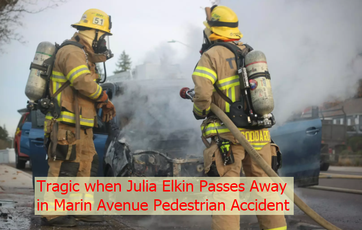 Tragic when Julia Elkin Passes Away in Marin Avenue Pedestrian Accident 18